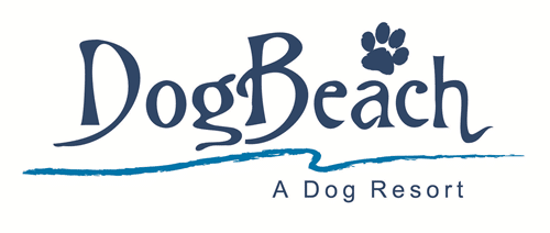 DogBeach Casselberry Logo