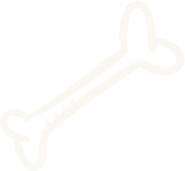 decorative bone