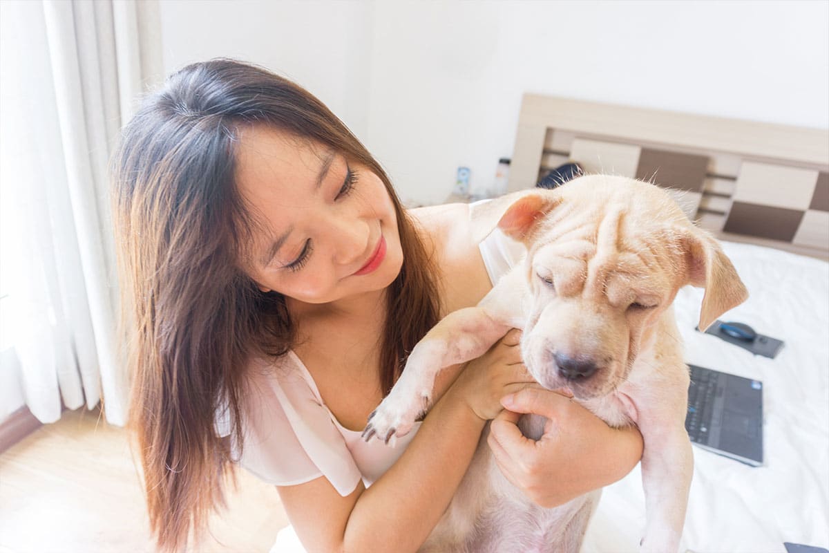 Vet clinic ponte vedra showing picture of female veterinarian holding a puppy and smiling