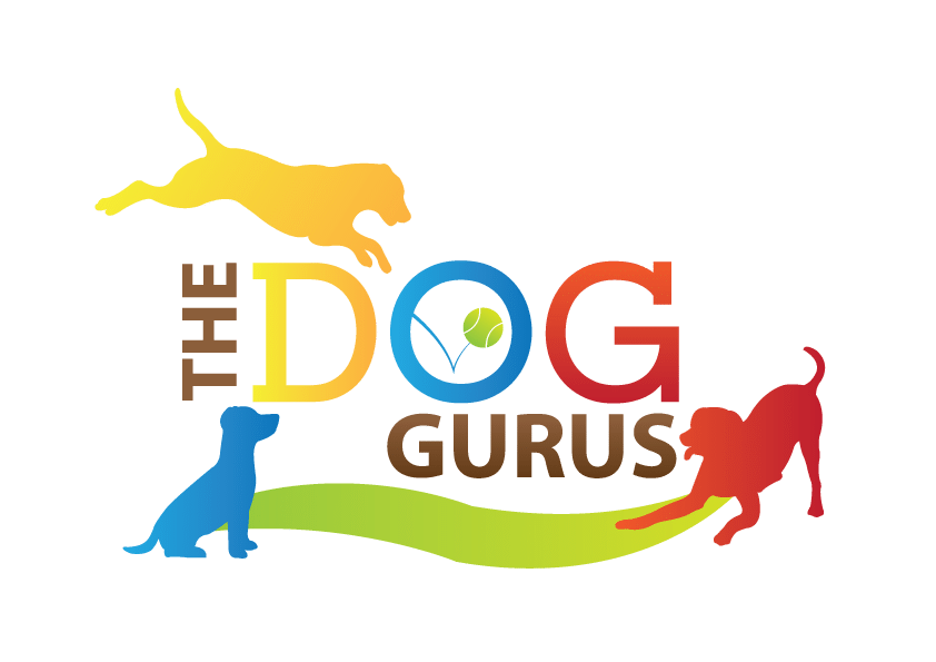logo of the dog gurus in brown, yellow, blue, and red
