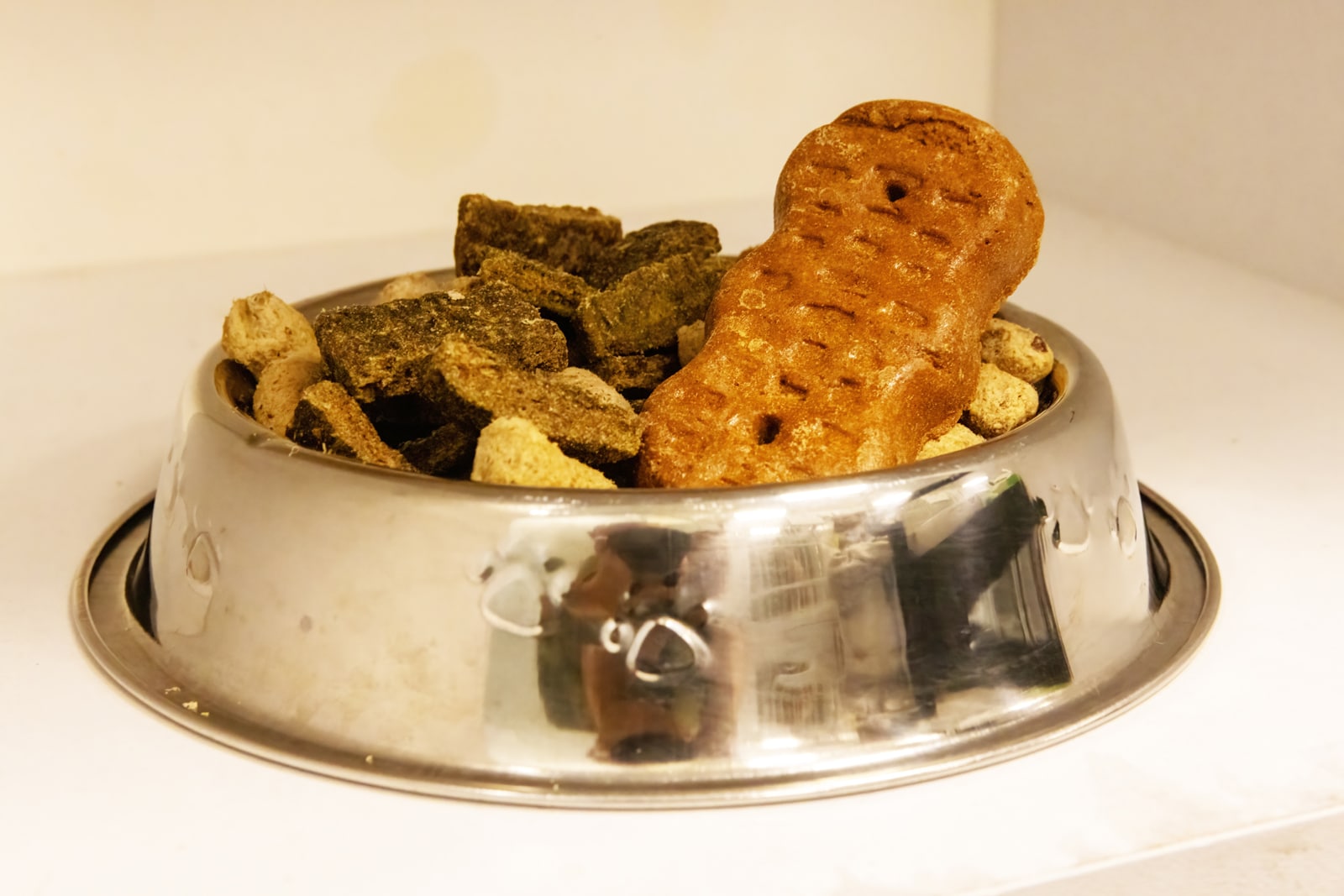 DogBeach Boarding Treats Casselberry